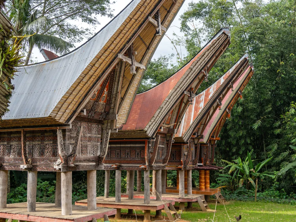 Toraja Highlands