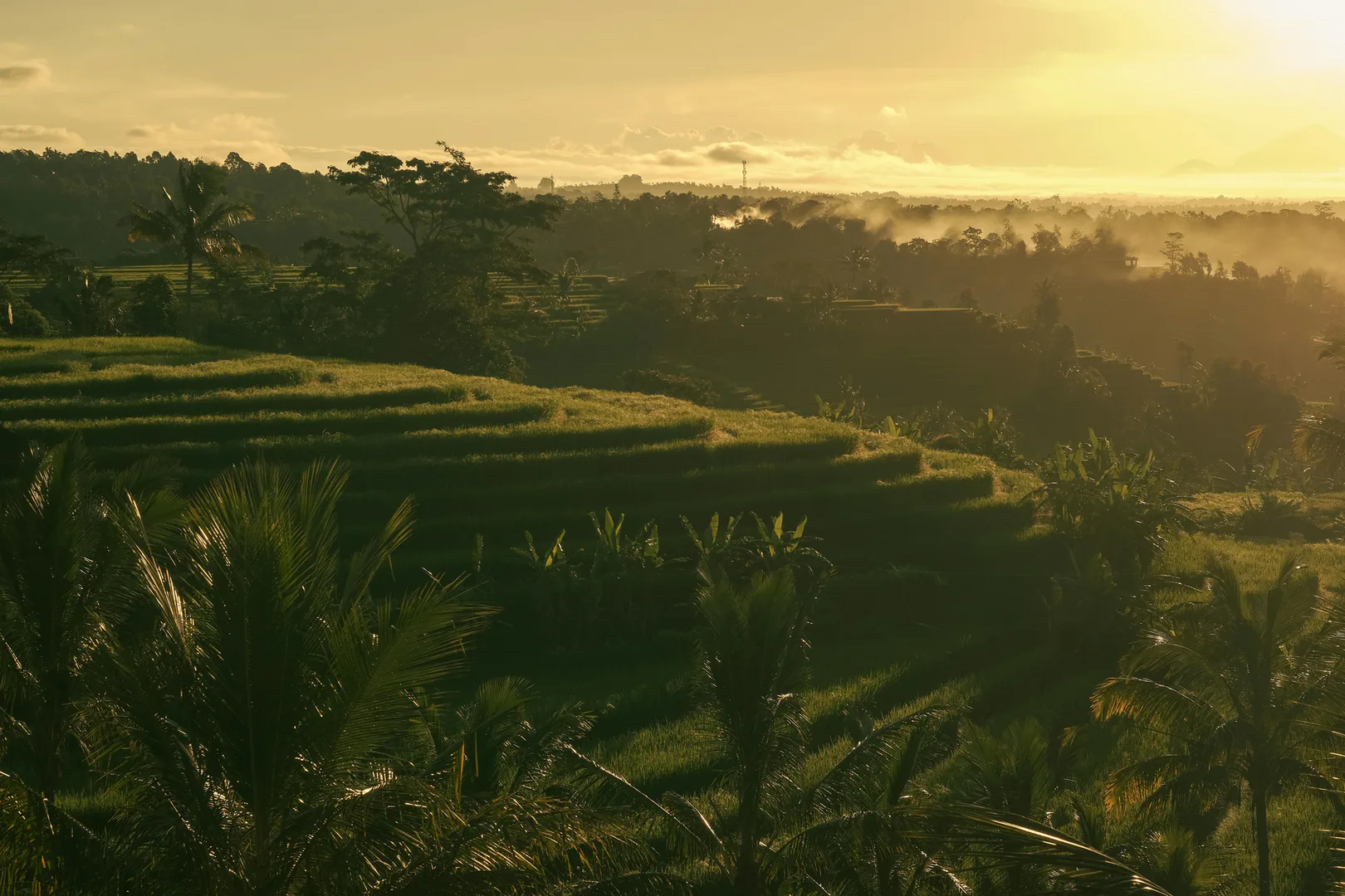 Why Ubud Slowly Becomes the Place Travelers Find Hard to Leave