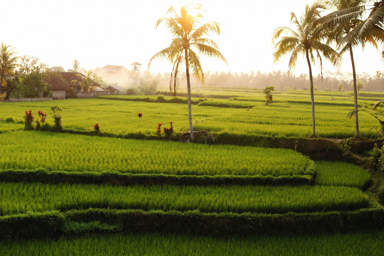 Why Ubud Feels Different for First-Time Visitors — in the Best Possible Way
