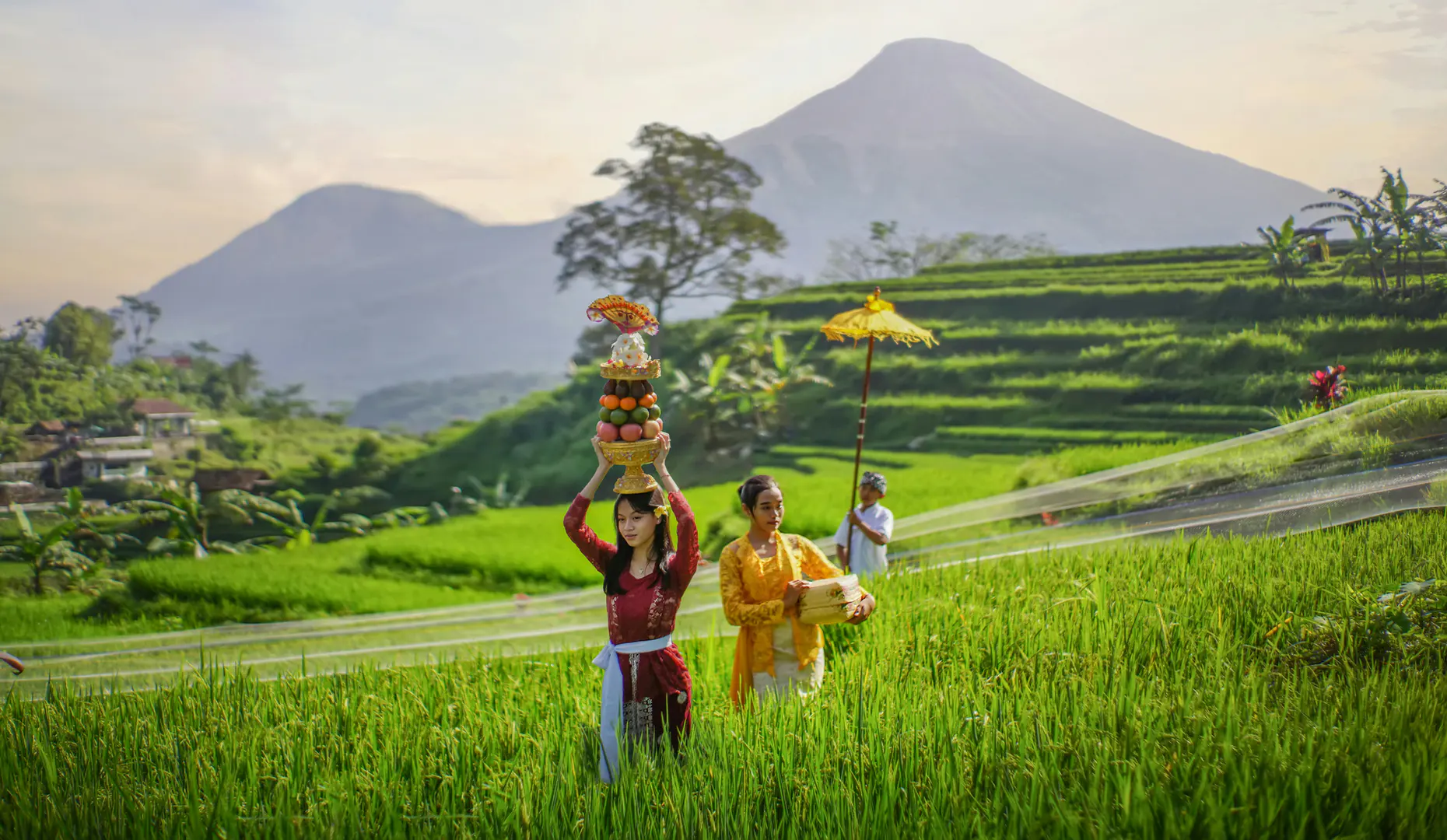 The Best Time to Visit Bali Depends on More Than the Weather