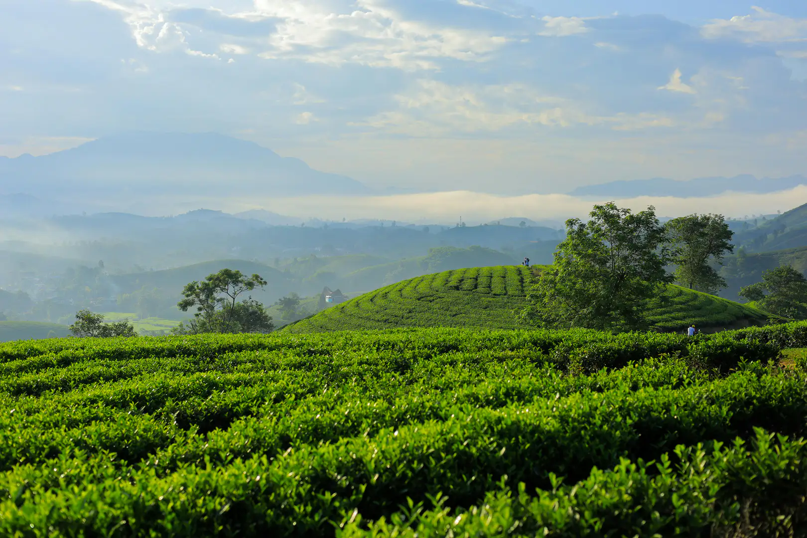 West Java
