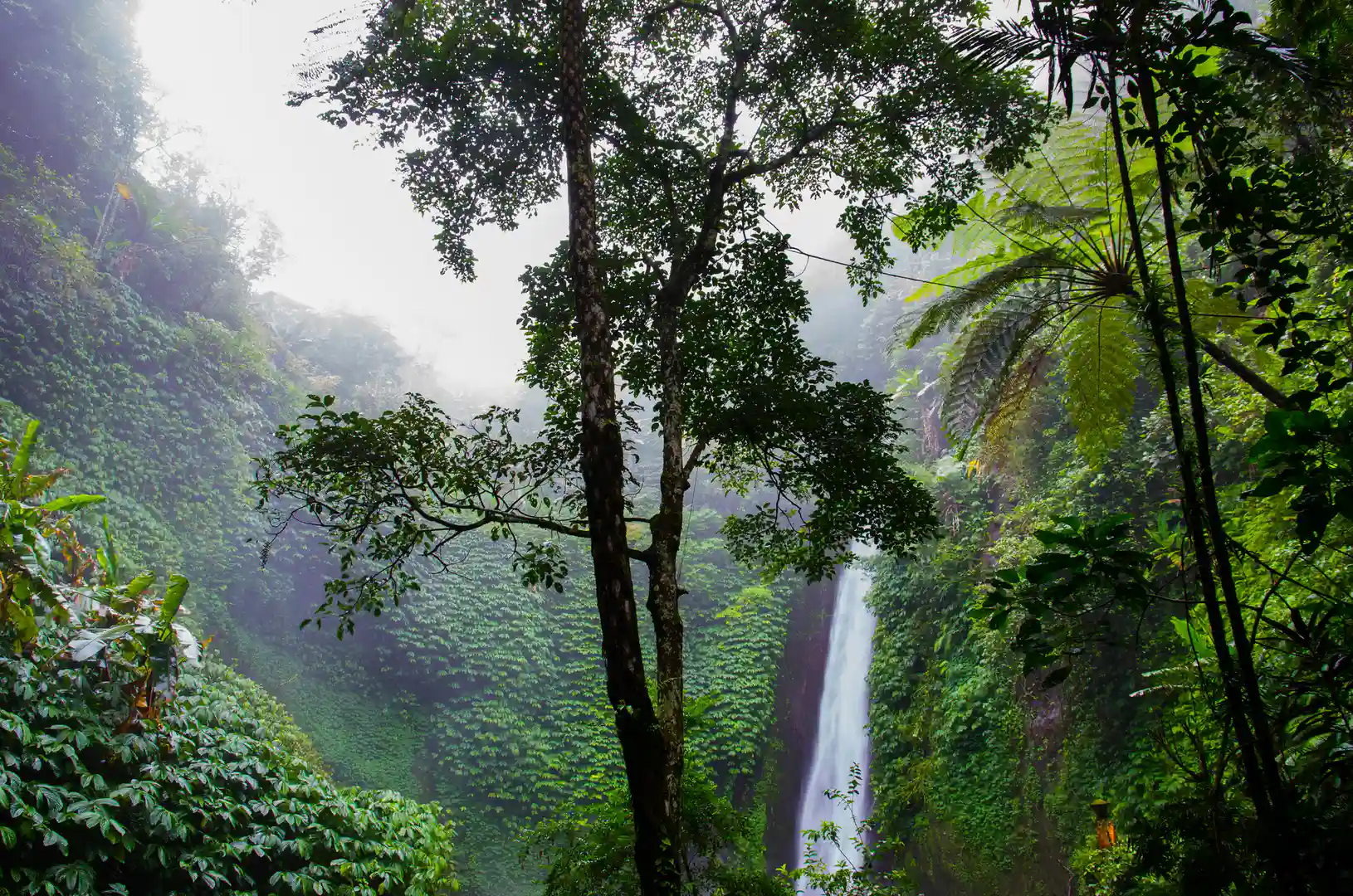 North Bali Highlands & Coast