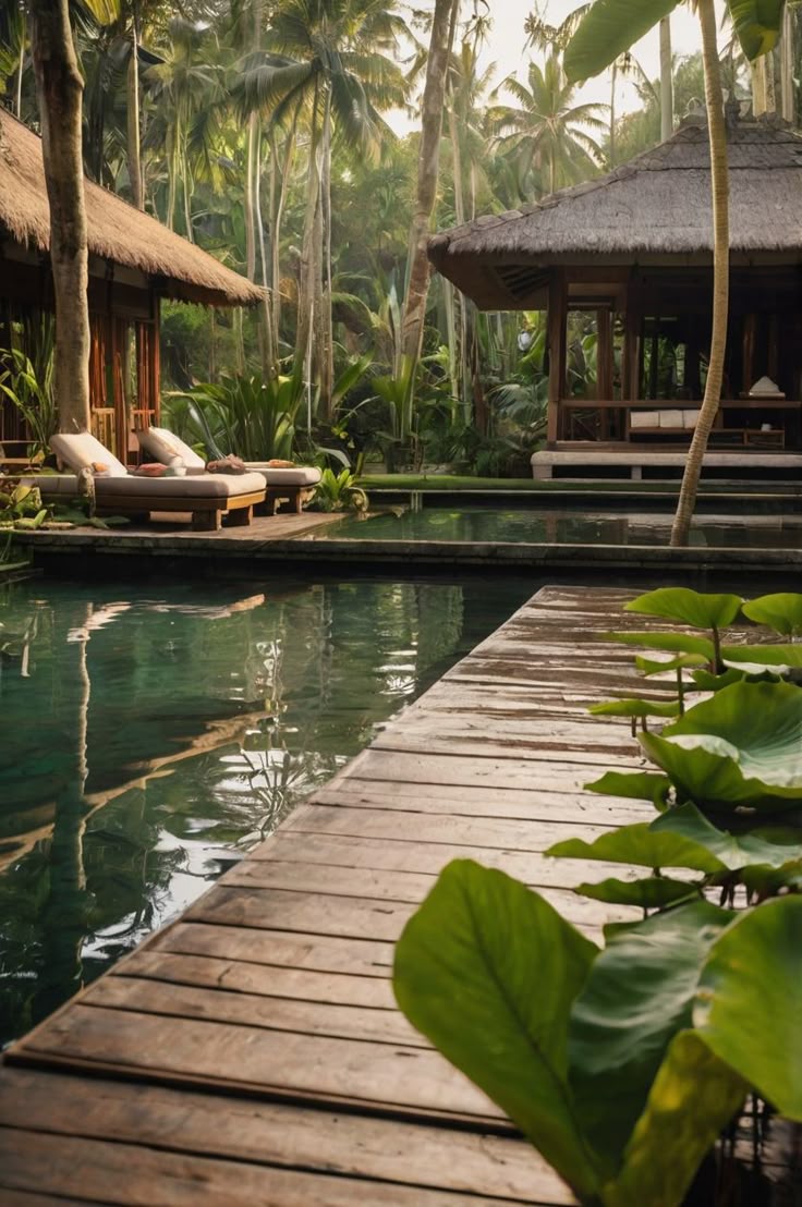 Wellness & Relaxation