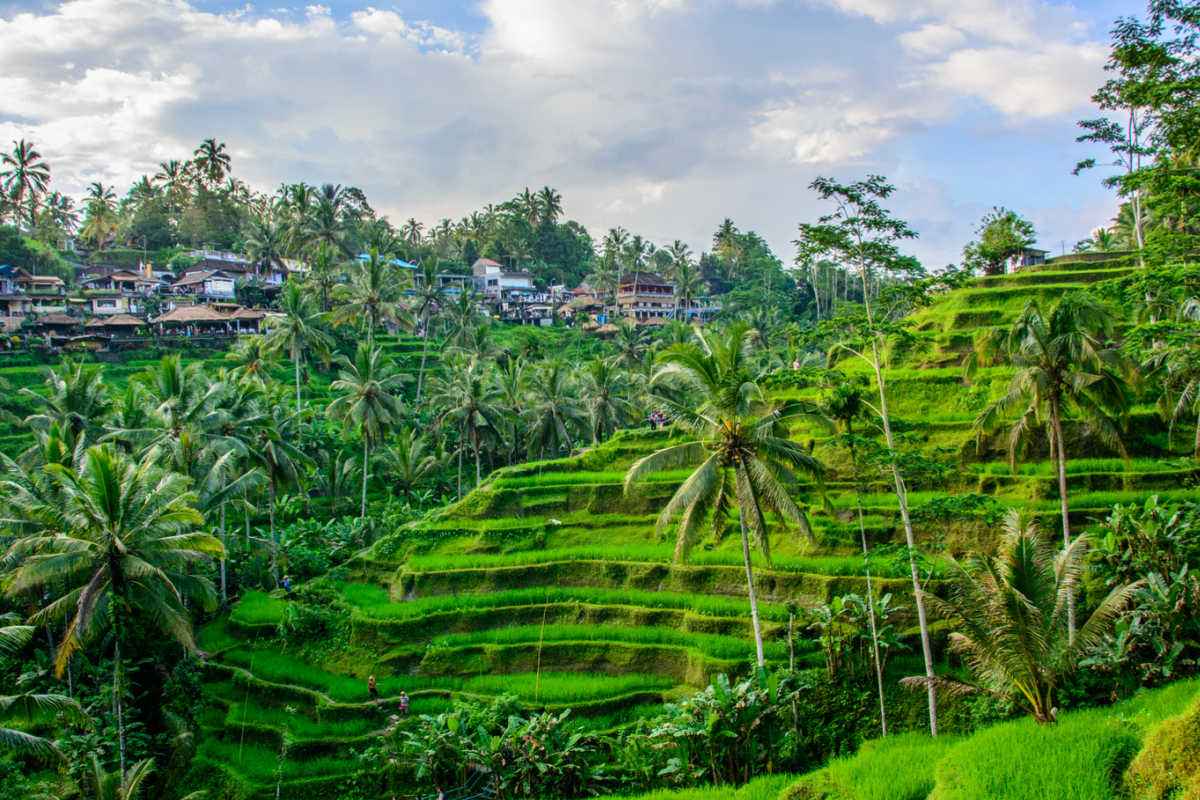 ubud