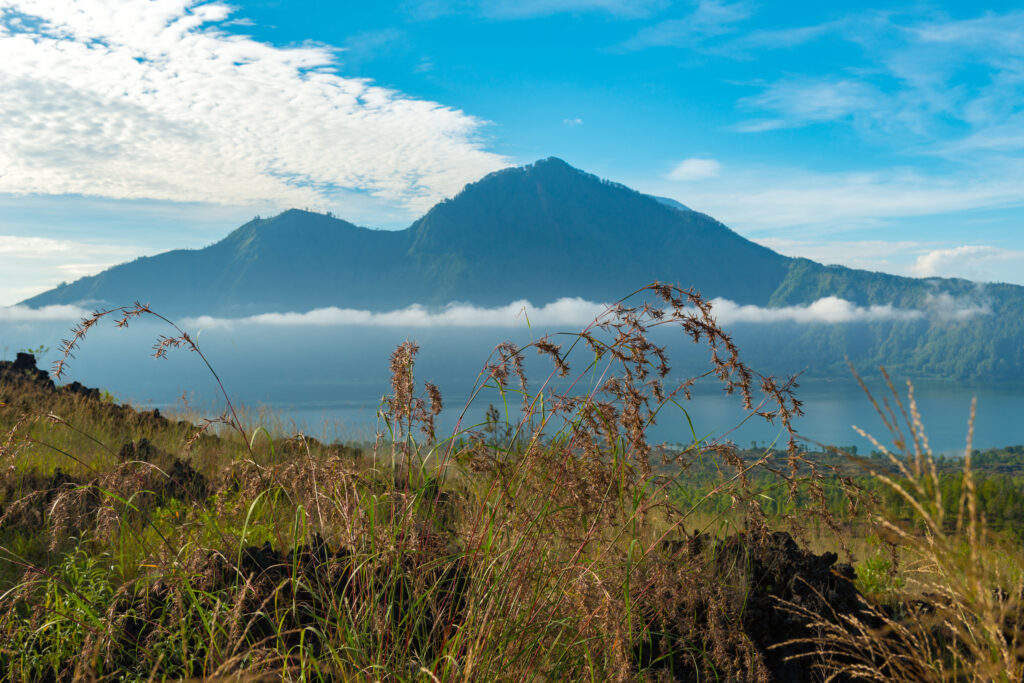 Bali National Park landscape showcasing forests, mountains, and natural scenery in West Bali